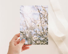 Charger l'image dans la galerie, Carte de souhaits - pommiers